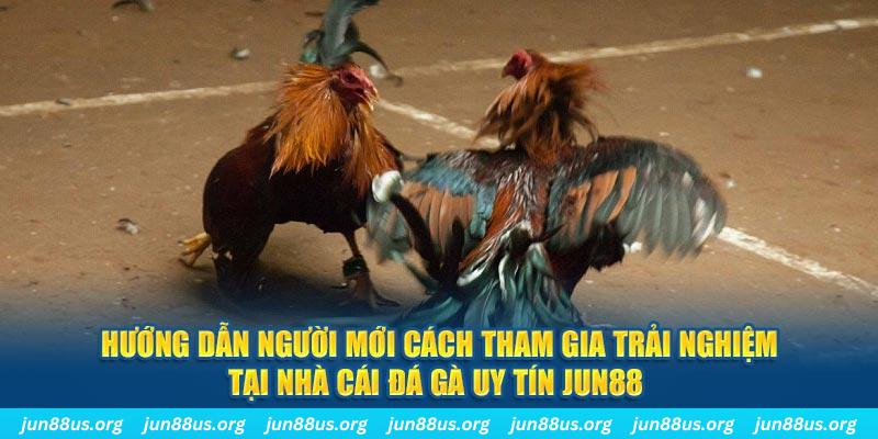 gacha clu CQ9 Điện Tử