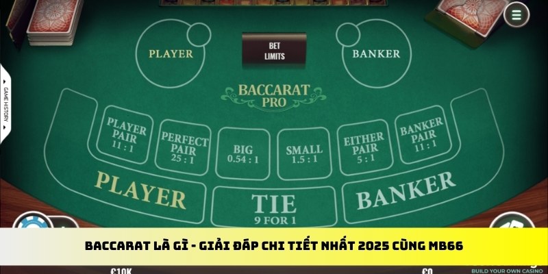 gacha clu gà chọi cu cần