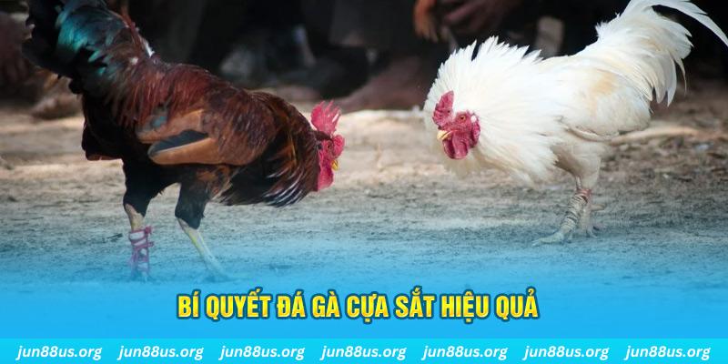 gacha clu xin 1 slot là gì