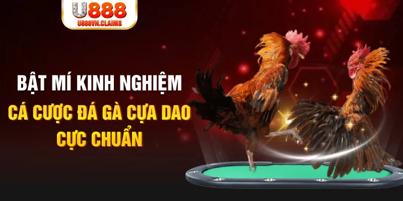 gacha clu tỷ lệ cá cược châu á là gì