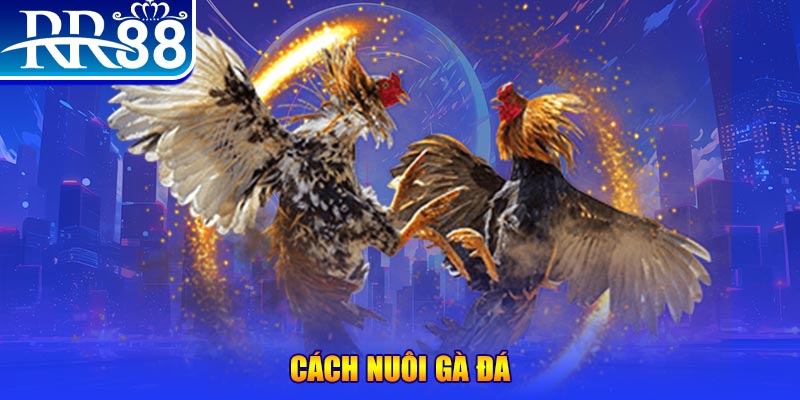 gacha clu xổ số an giang