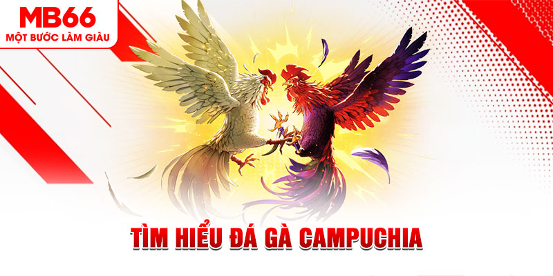 gacha clu game đánh bài trên máy tính