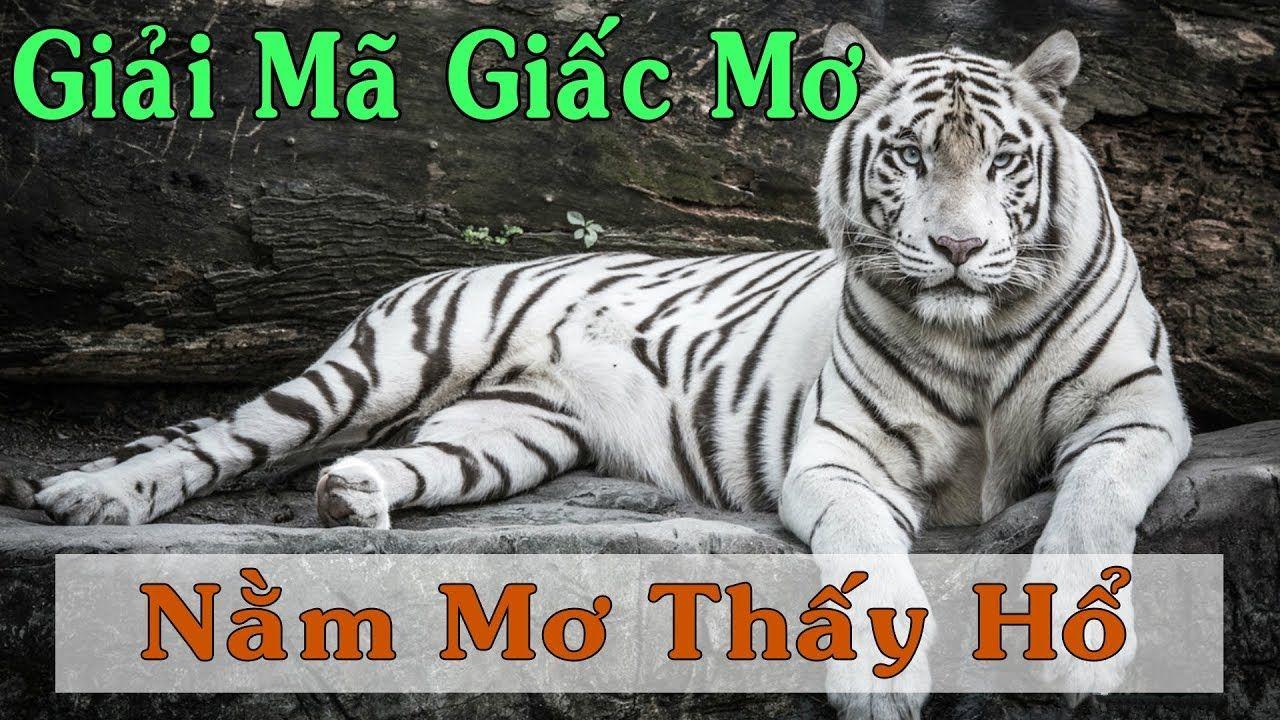 gacha clu xổ số 3 miền