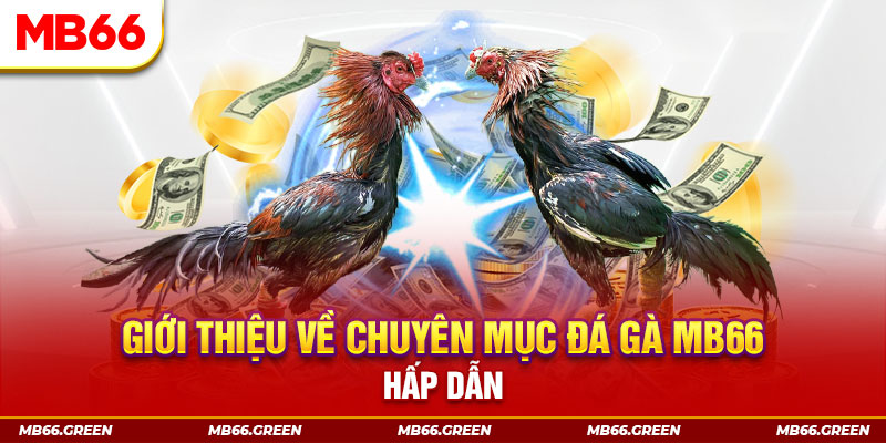 gacha clu đăng nhập sòng bạc đổi thưởng