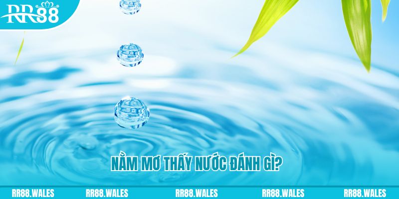 gacha clu TP Bắn cá