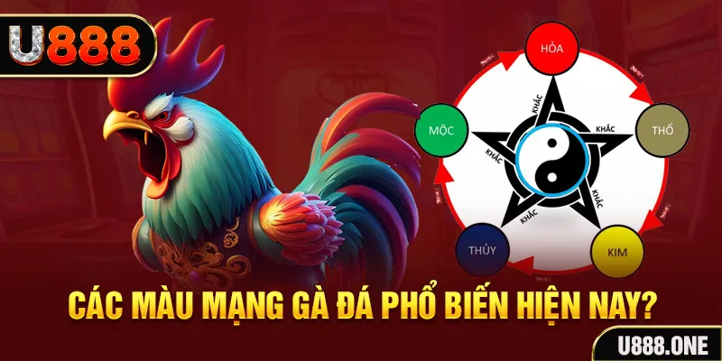gacha clu trực tiếp đá gà 88