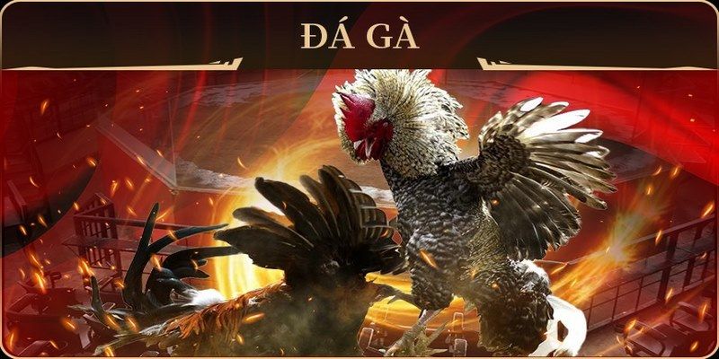 gacha clu xổ số miền nam thứ hai