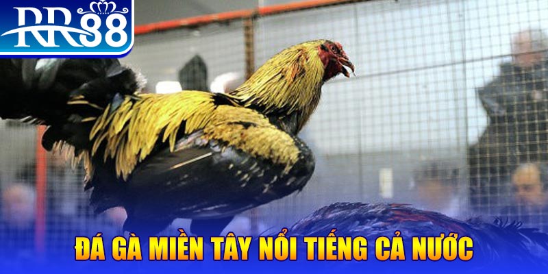 gacha clu JILI Game Bài 3d