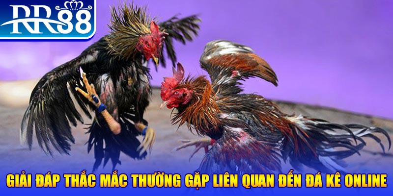 gacha clu slot machine là gì