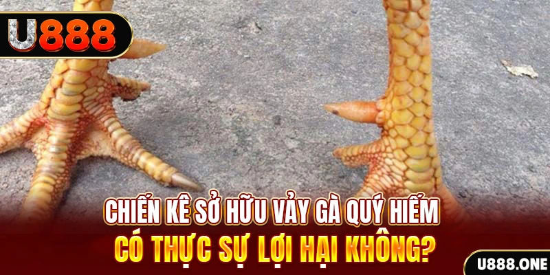 gacha clu nohu .mx nổ hủ là gì