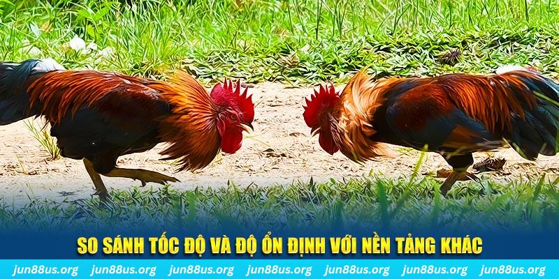 gacha clu đá gà hôm nay