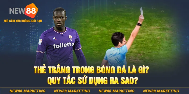 gacha clu gà chọi mộc hóa