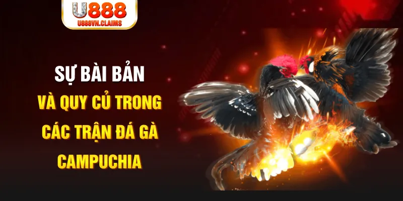 gacha clu YGR Điện Tử