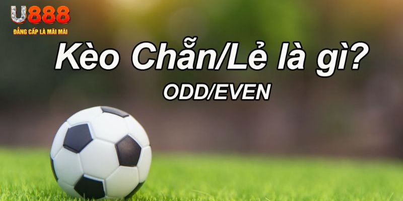 đăng nhập poker hôm nay