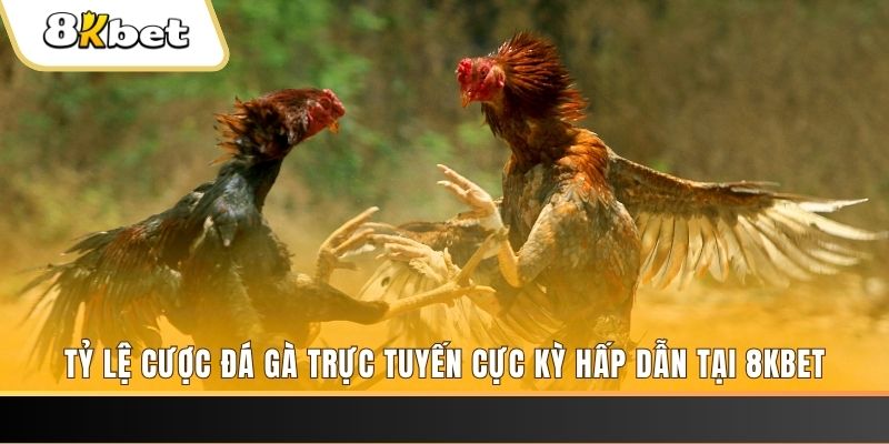 gacha clu đăng nhập phỏm trực tiếp