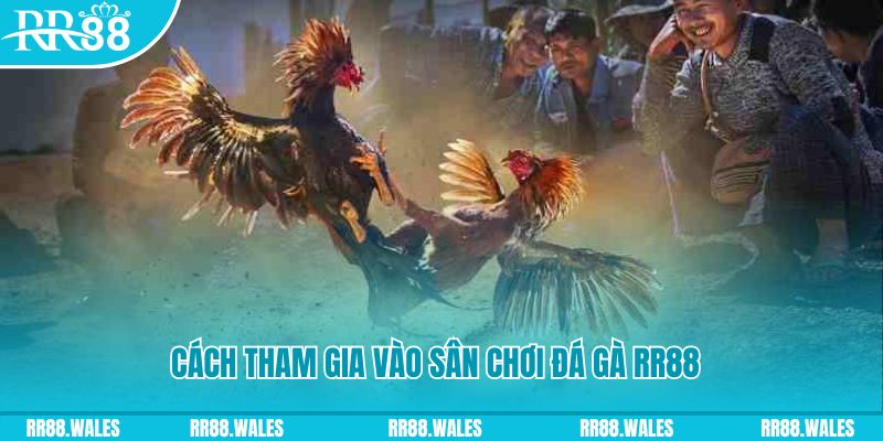 gacha clu chơi nổ hũ kiêng kỵ gì