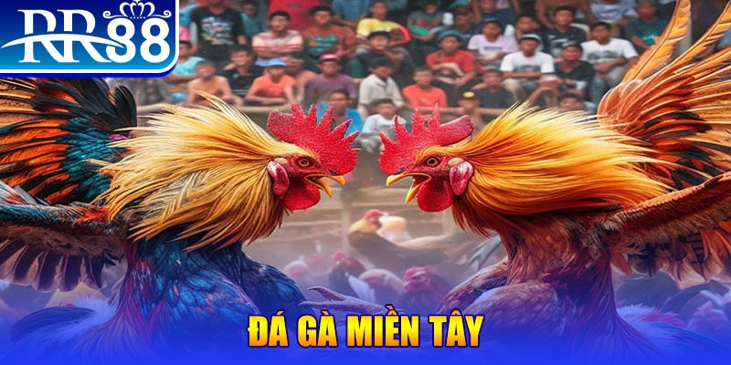 gacha clu chơi slot là gì