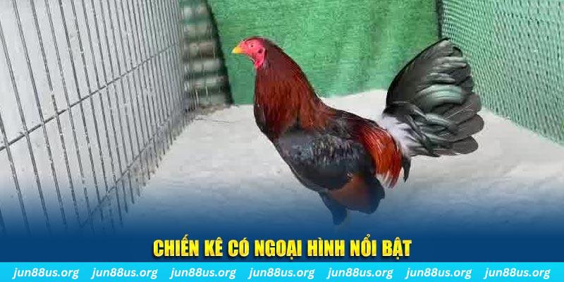 gacha clu chạy quảng cáo cho game bài bị phạt như thế nào