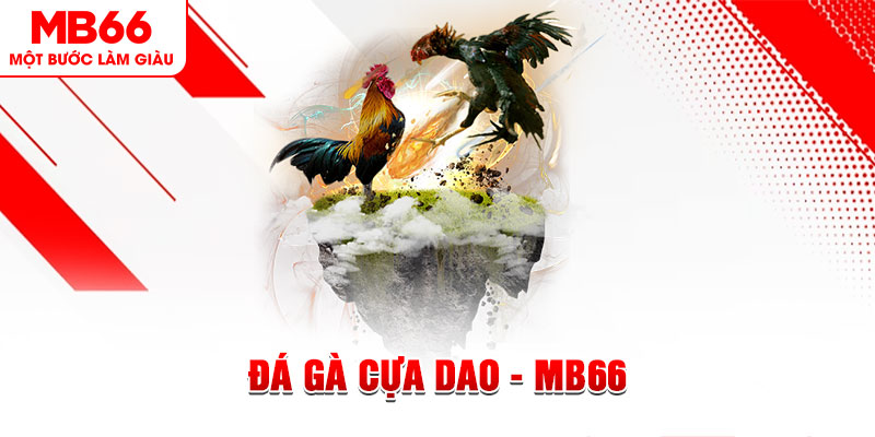 gacha clu đá gà sv388 gold