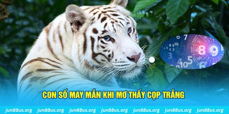 gacha clu đá gà trực tiếp 88